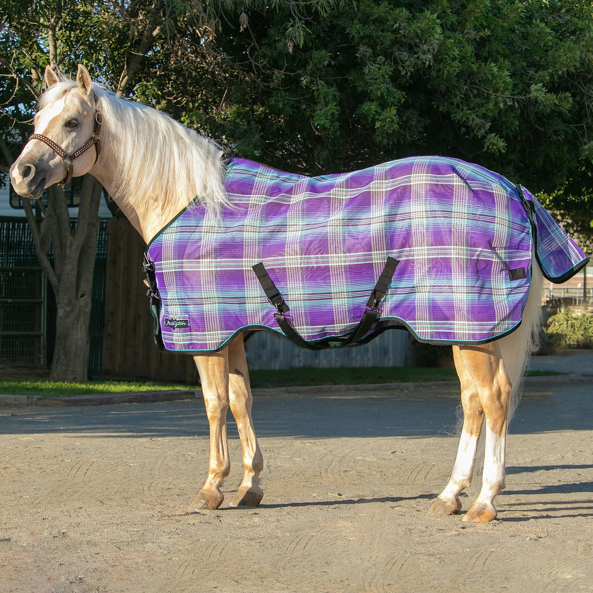Product image 31